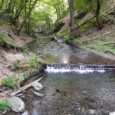 Adelheid Brachtendorf Apartment