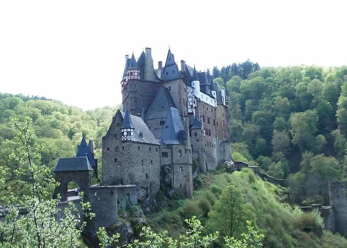 Adelheid Brachtendorf