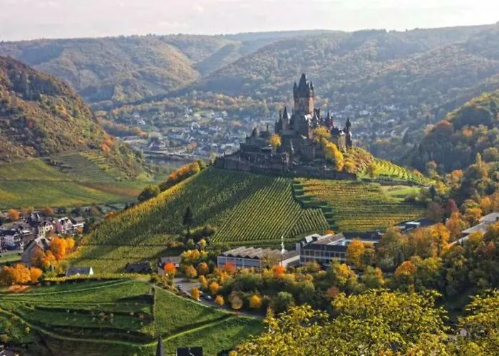 Adelheid Brachtendorf