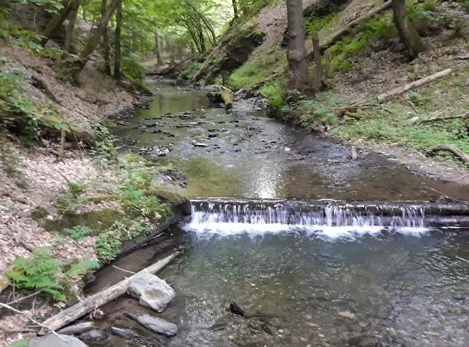 Adelheid Brachtendorf Apartament
